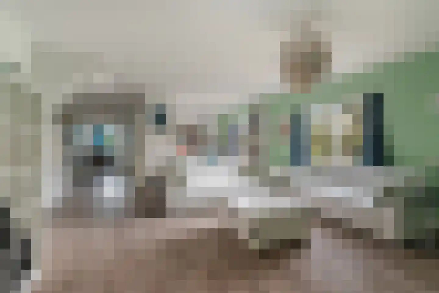 Korteraarseweg 67 Ter Aar thumbnail 6