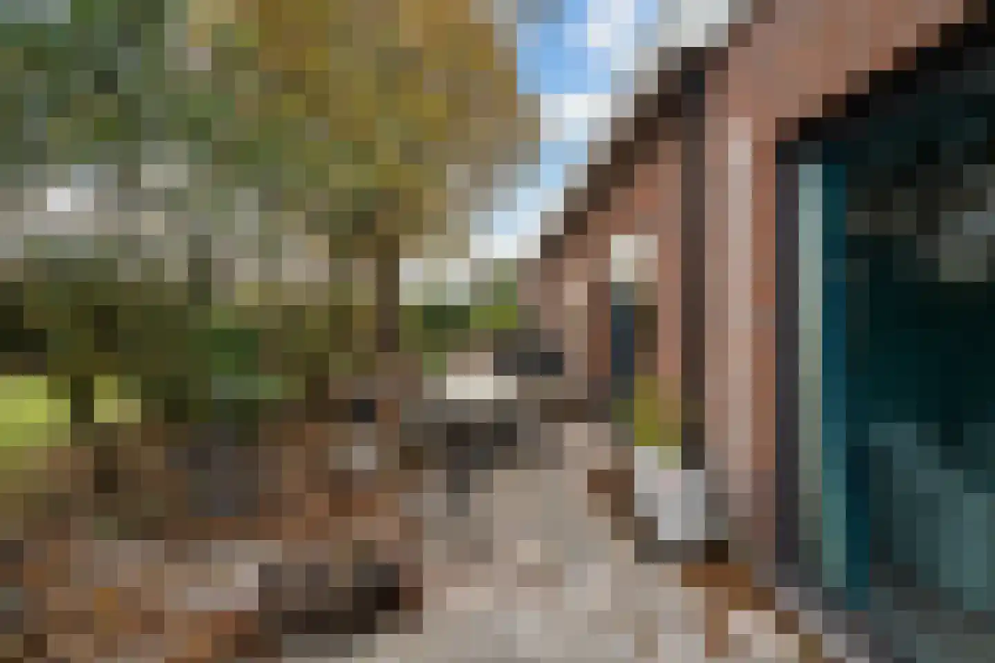 Korteraarseweg 67 Ter Aar thumbnail 70