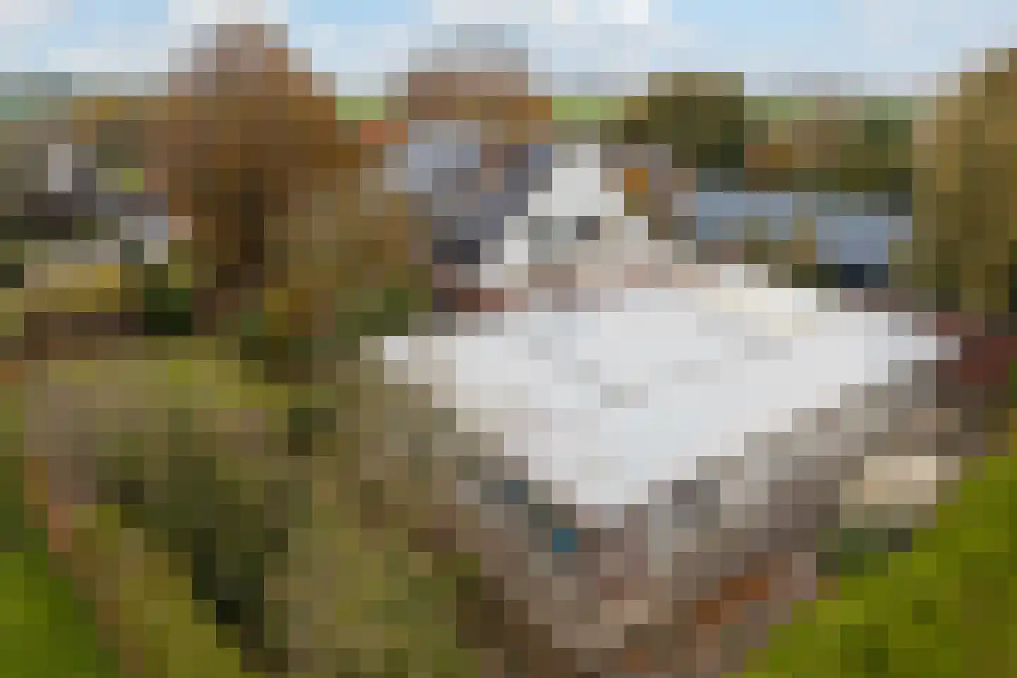 Korteraarseweg 67 Ter Aar thumbnail 71