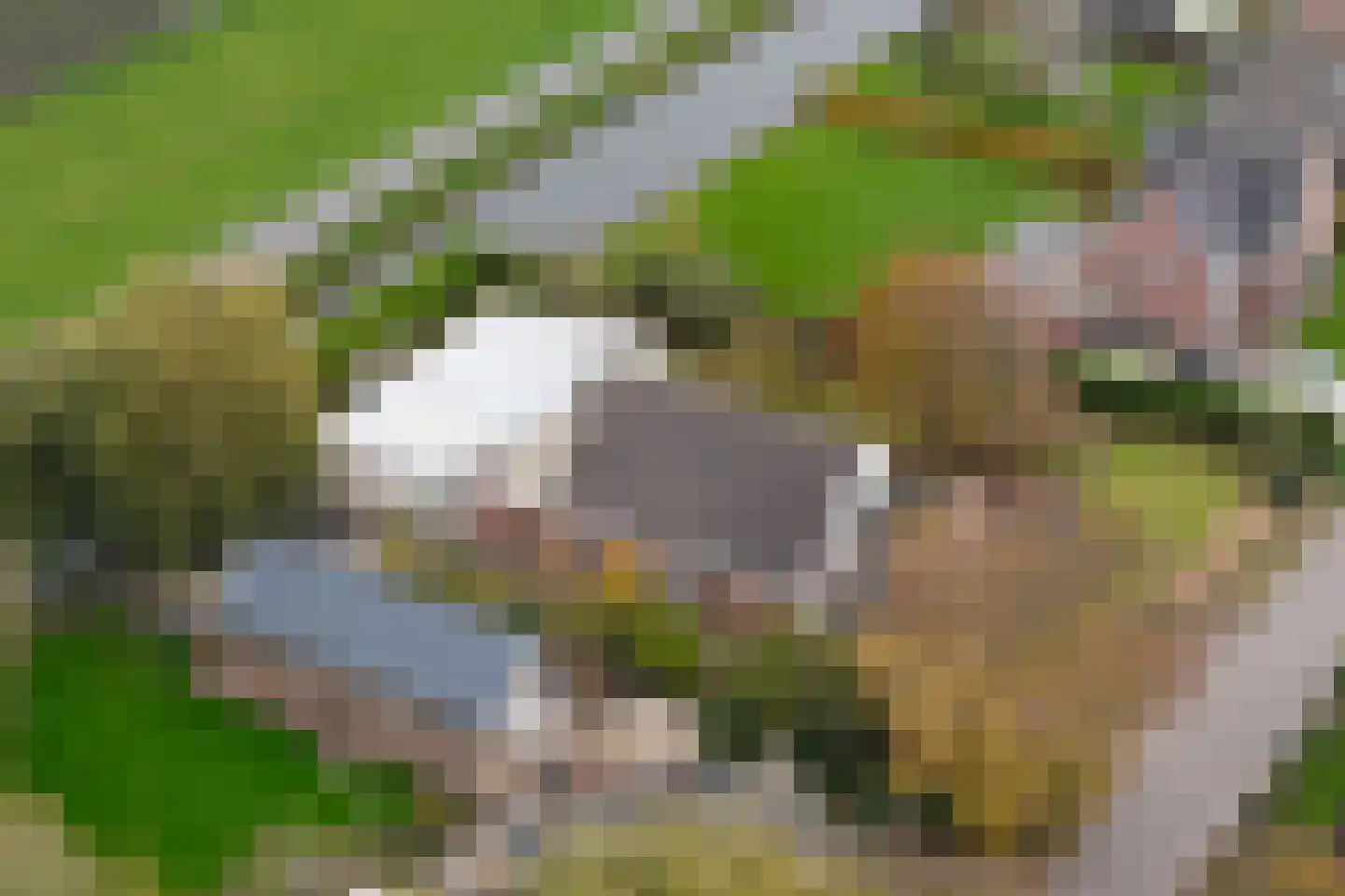 Korteraarseweg 67 Ter Aar thumbnail 73