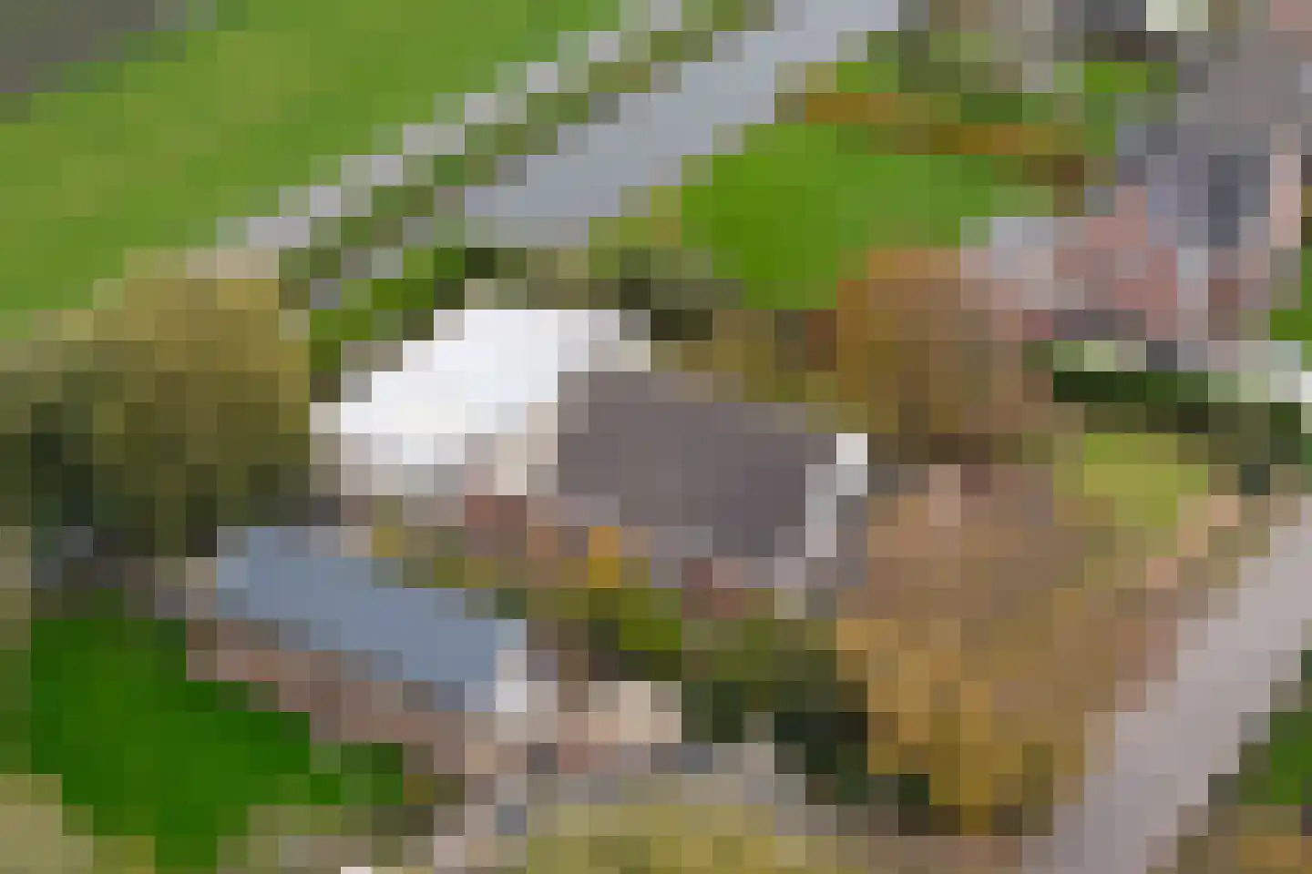 Korteraarseweg 67 Ter Aar thumbnail 74