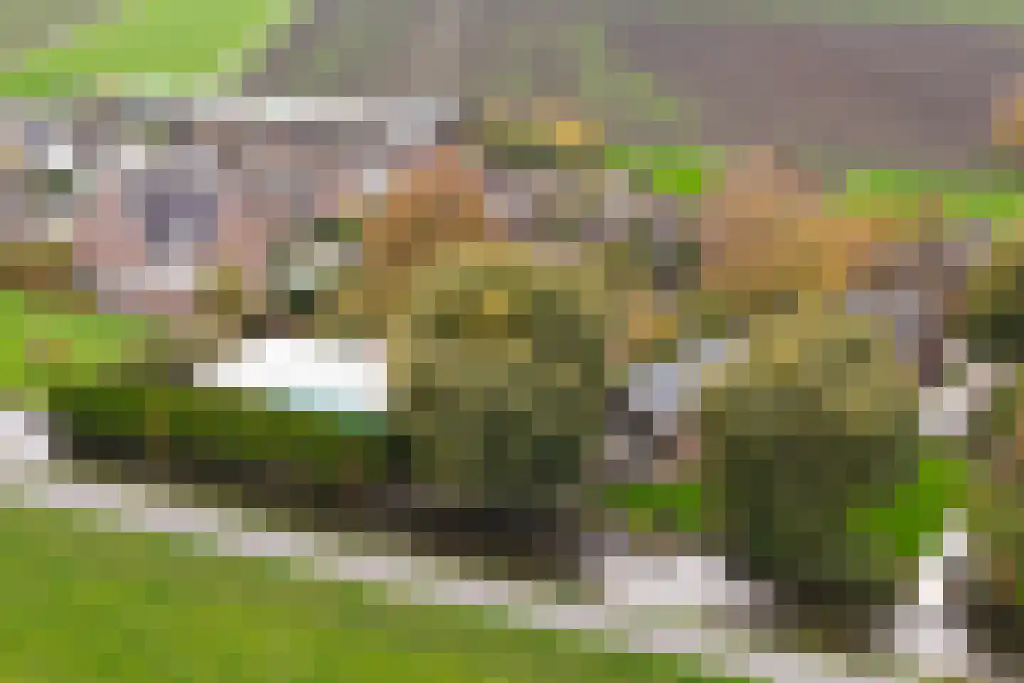 Korteraarseweg 67 Ter Aar thumbnail 77