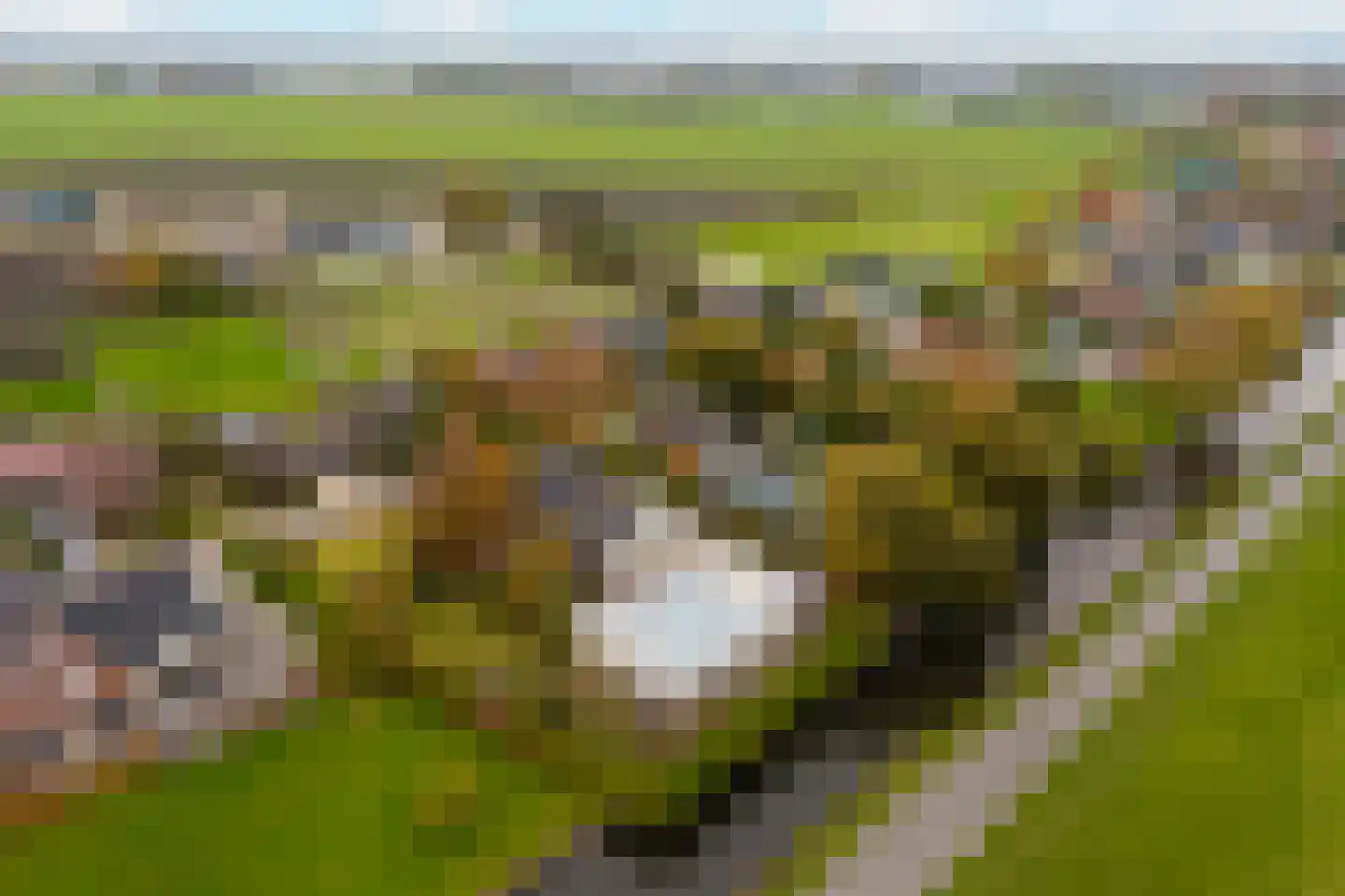 Korteraarseweg 67 Ter Aar thumbnail 78