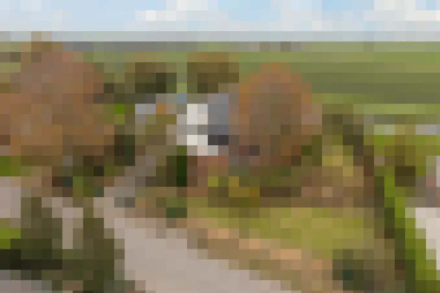 Korteraarseweg 67 Ter Aar thumbnail 8