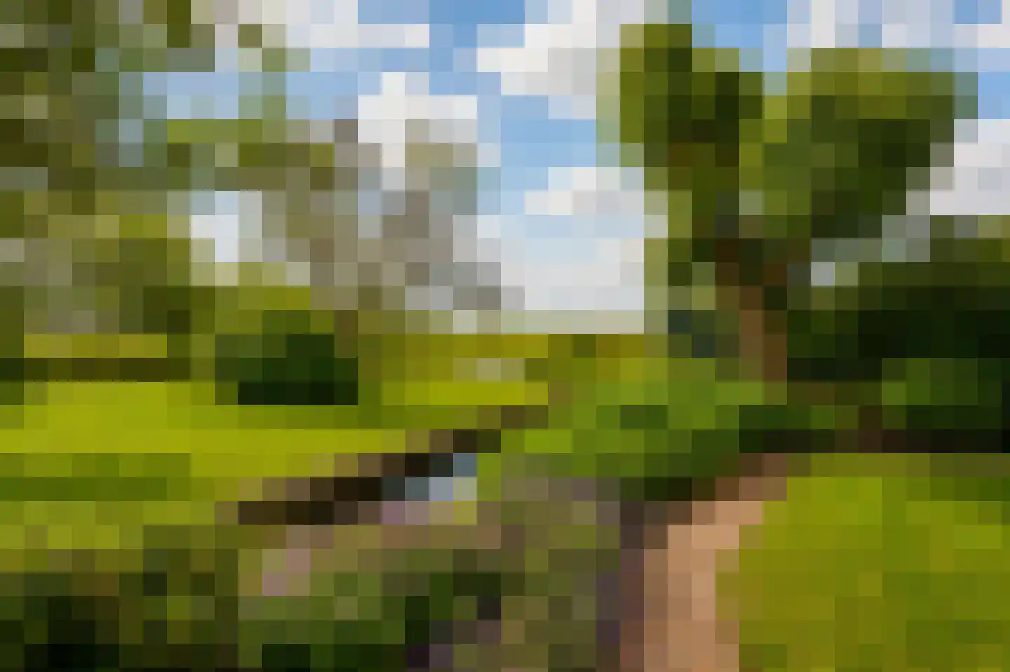Korteraarseweg 73 Ter Aar thumbnail 10