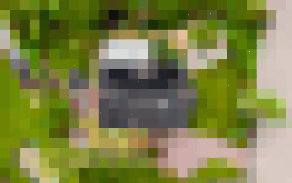 Korteraarseweg 73 Ter Aar thumbnail 34