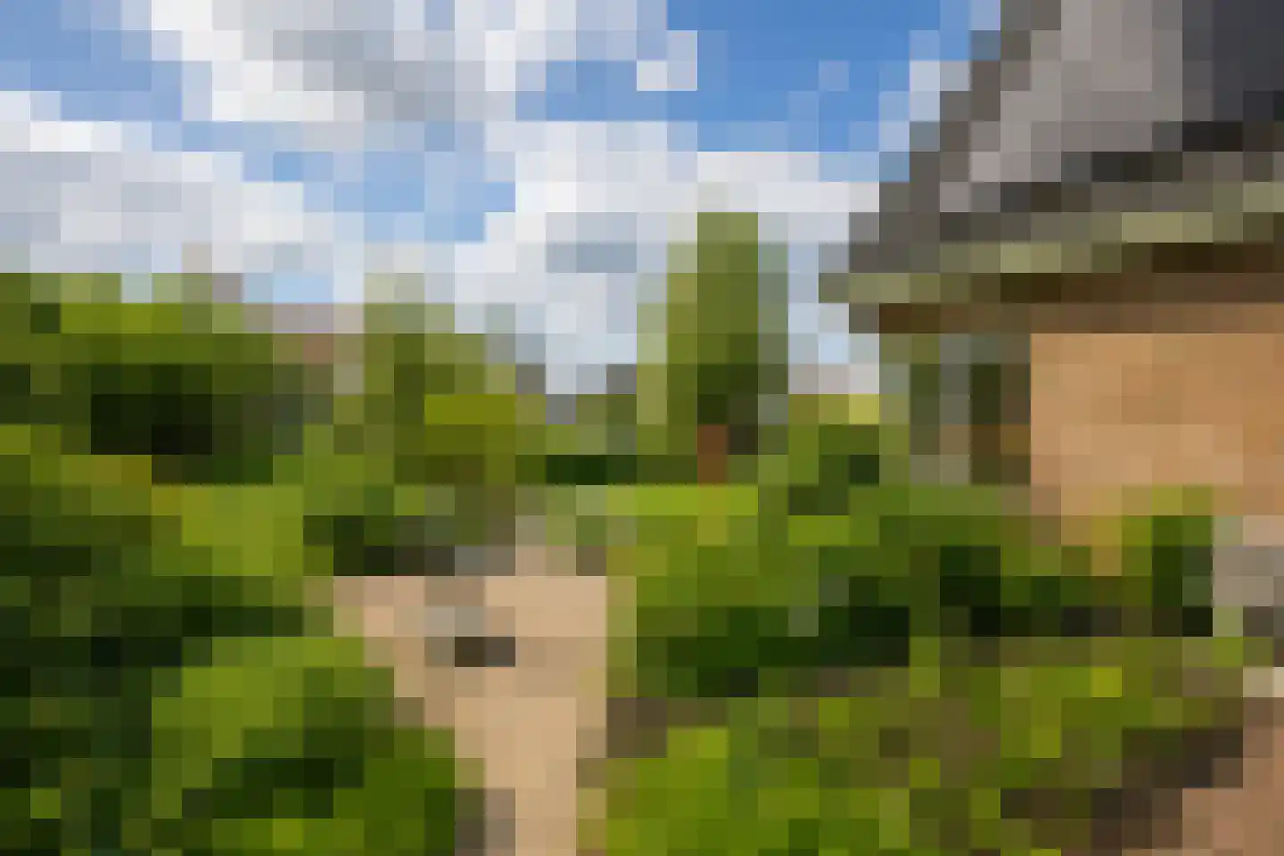 Korteraarseweg 73 Ter Aar thumbnail 6