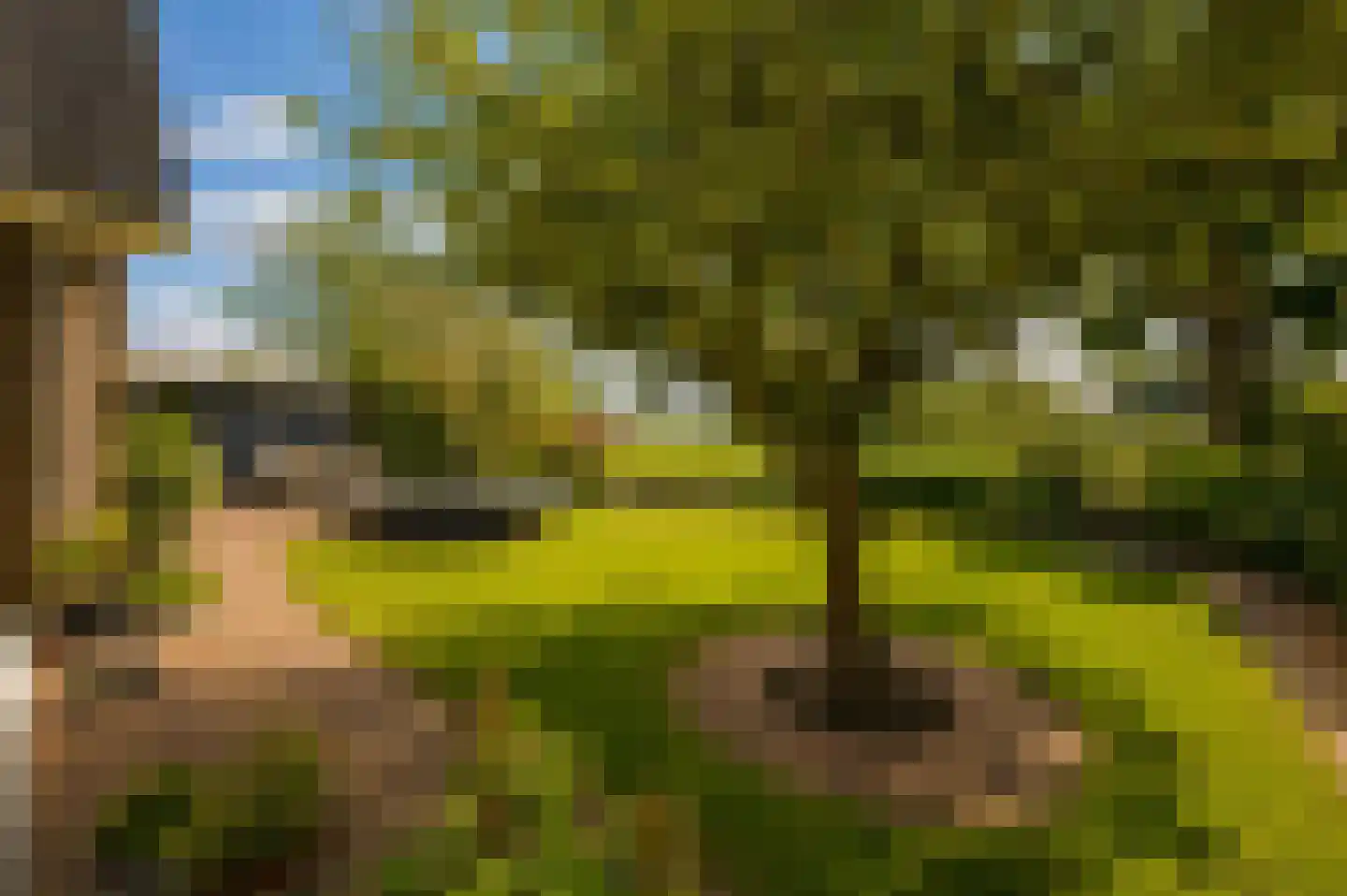 Korteraarseweg 73 Ter Aar thumbnail 8