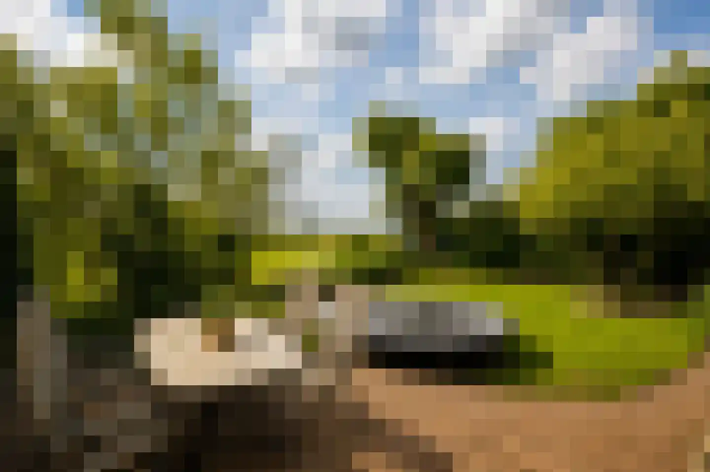 Korteraarseweg 73 Ter Aar thumbnail 9