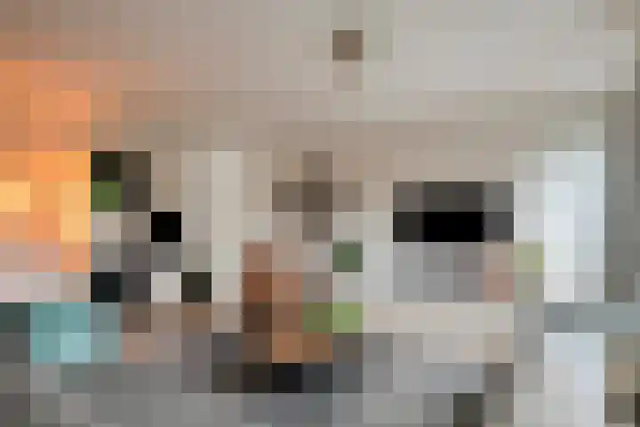 Korteslag 7 Heerde thumbnail 12