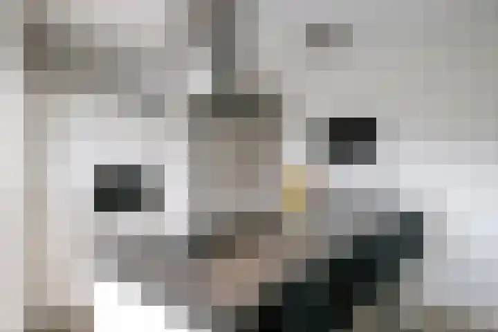 Korteslag 7 Heerde thumbnail 14