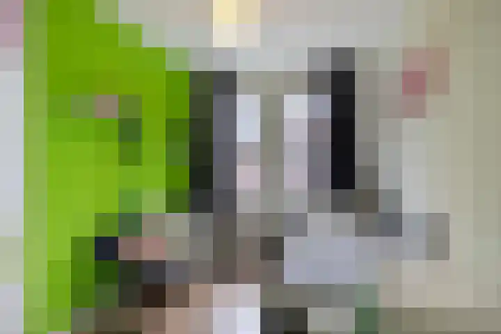 Korteslag 7 Heerde thumbnail 16