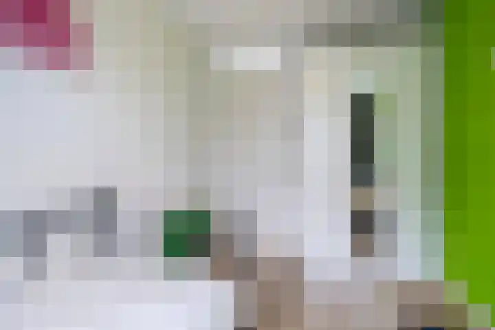 Korteslag 7 Heerde thumbnail 17