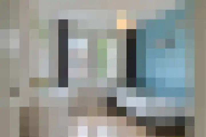 Korteslag 7 Heerde thumbnail 18