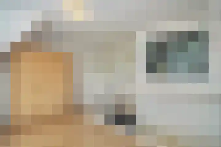 Korteslag 7 Heerde thumbnail 25