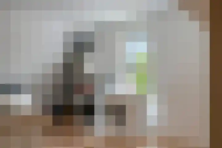 Korteslag 7 Heerde thumbnail 26