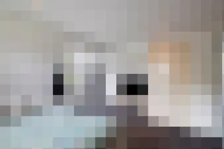 Korteslag 7 Heerde thumbnail 28