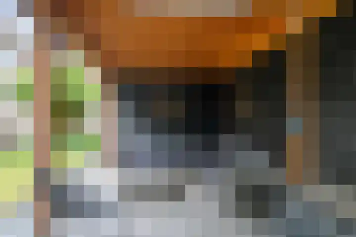 Korteslag 7 Heerde thumbnail 31