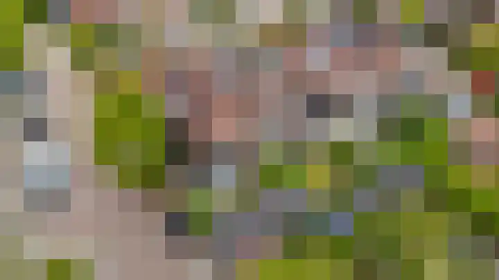 Korteslag 7 Heerde thumbnail 33