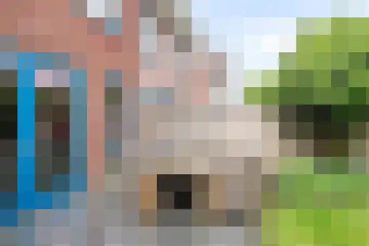 Korteslag 7 Heerde thumbnail 34