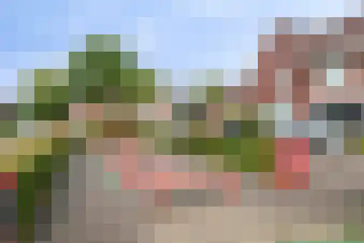 Korteslag 7 Heerde thumbnail 36