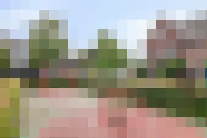 Korteslag 7 Heerde thumbnail 37