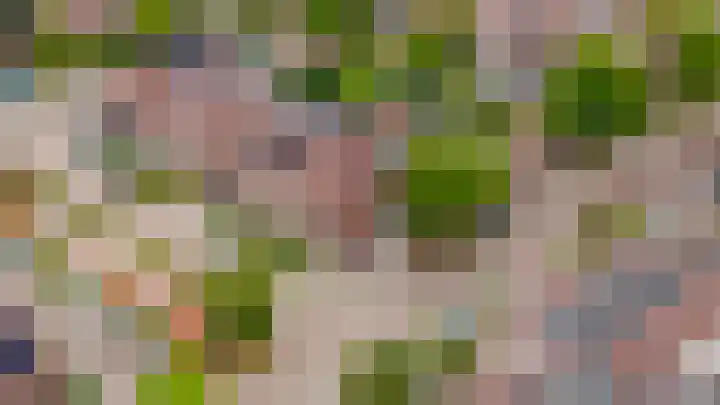 Korteslag 7 Heerde thumbnail 38
