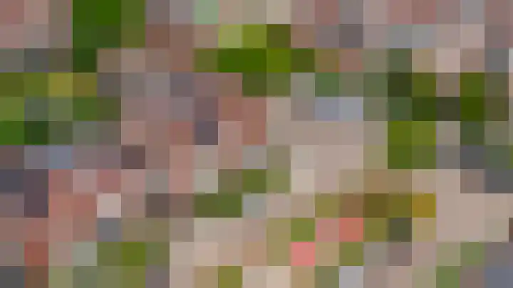 Korteslag 7 Heerde thumbnail 39