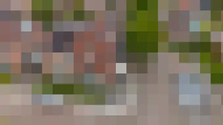 Korteslag 7 Heerde thumbnail 4
