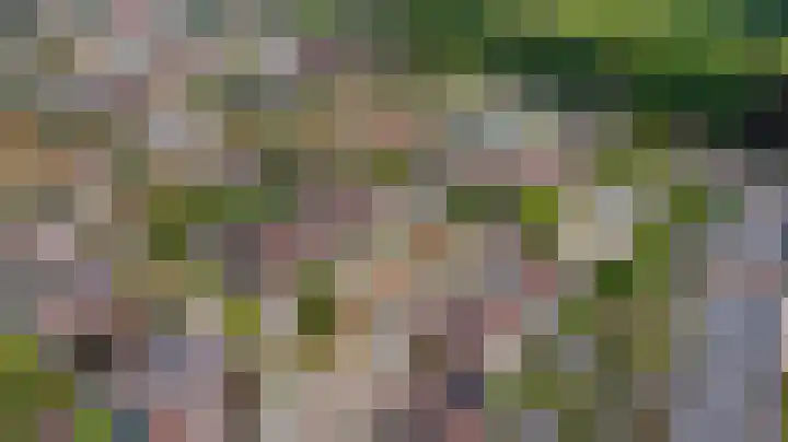 Korteslag 7 Heerde thumbnail 40