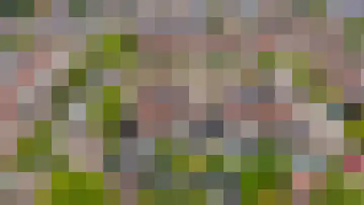 Korteslag 7 Heerde thumbnail 41