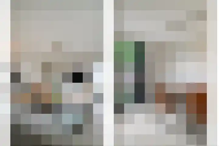 Korteslag 7 Heerde thumbnail 9