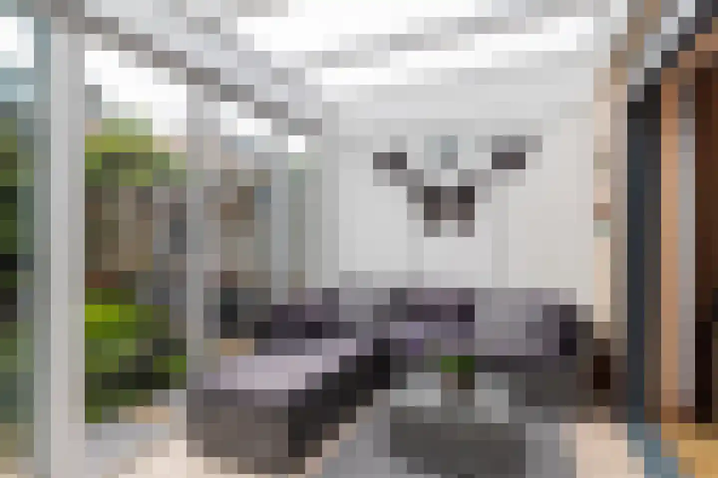 Kortestede 2 E Den Haag thumbnail 11