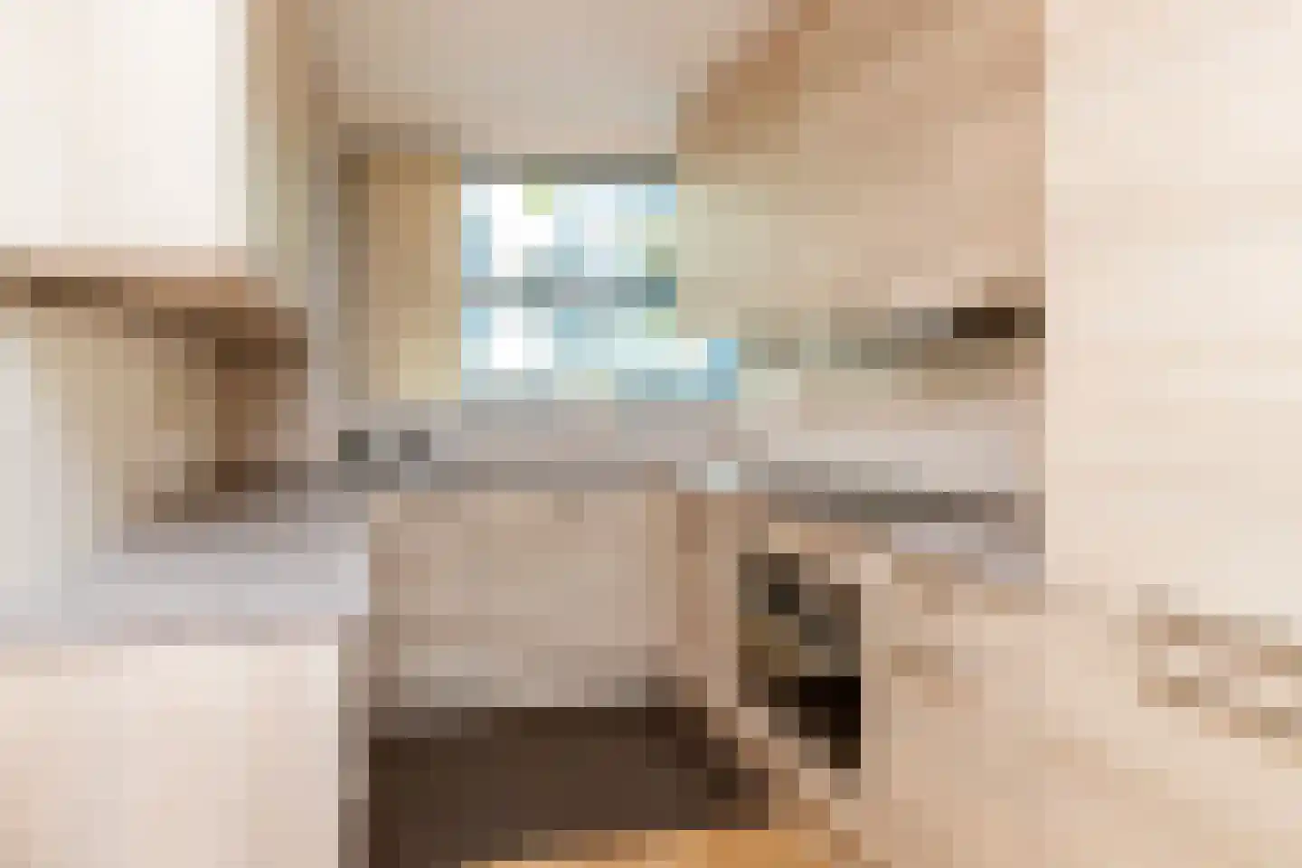 Kortestede 2 E Den Haag thumbnail 12