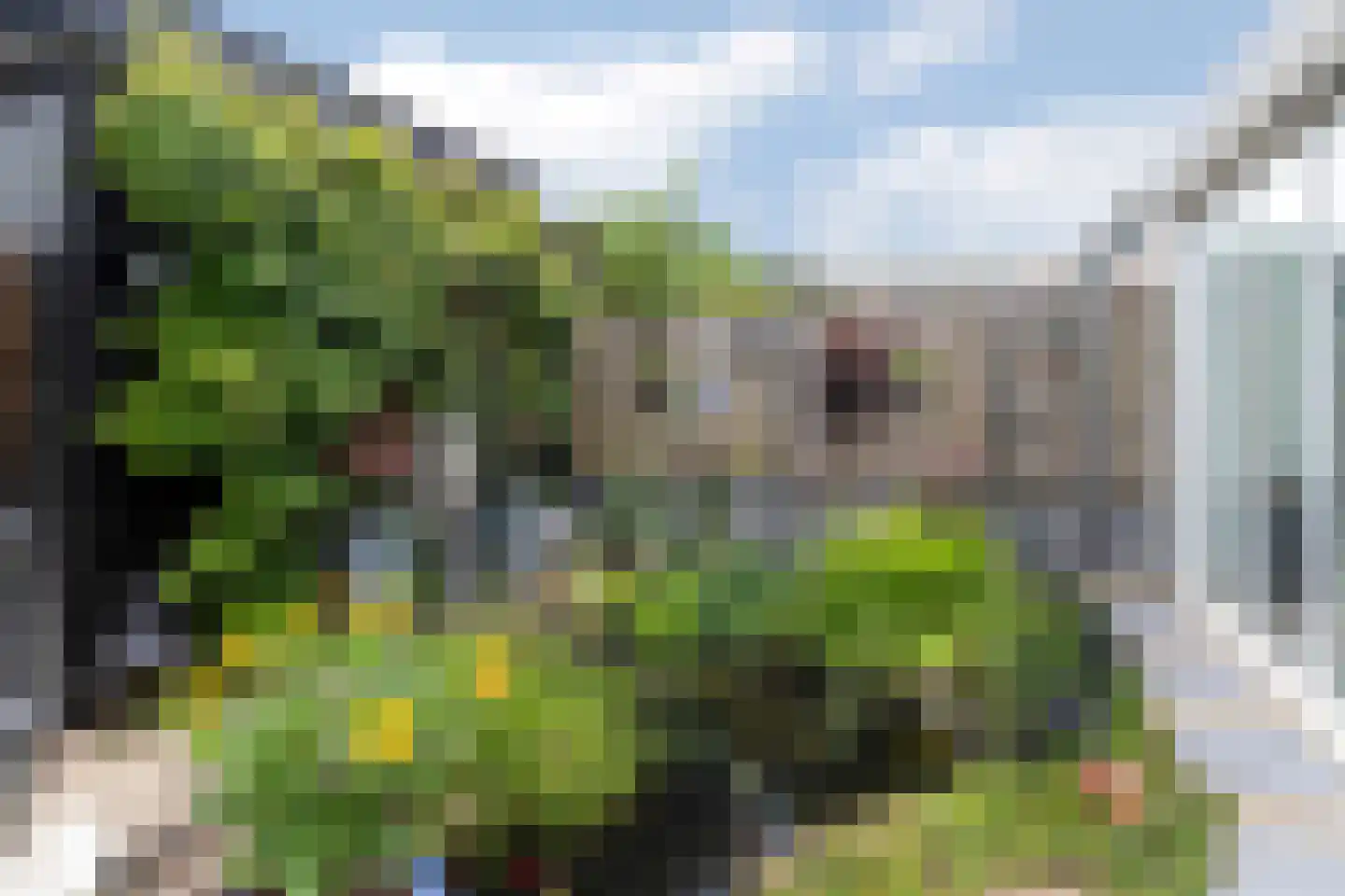 Kortestede 2 E Den Haag thumbnail 19