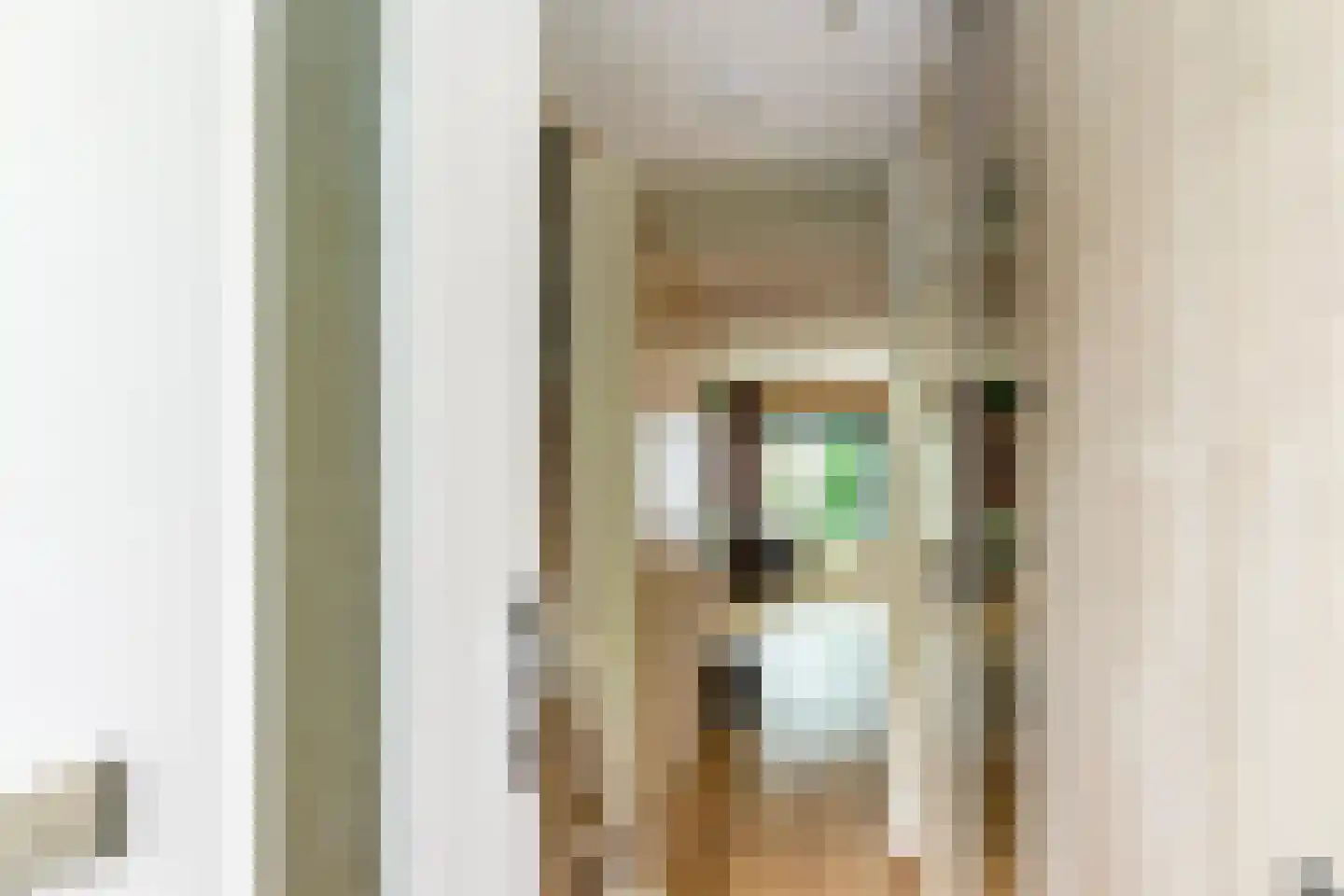 Kortestede 2 E Den Haag thumbnail 6