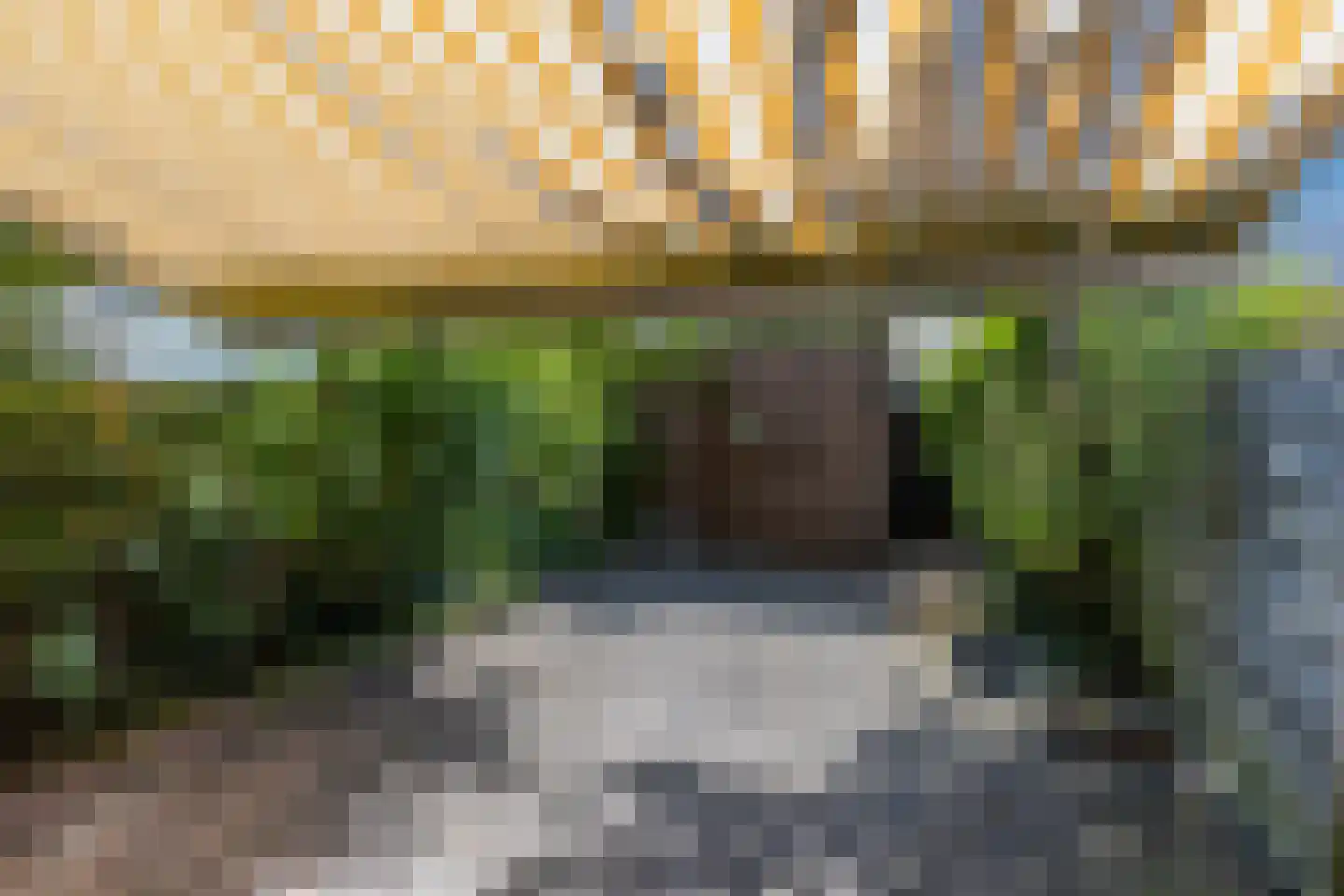 Kortestede 2 M Den Haag thumbnail 13
