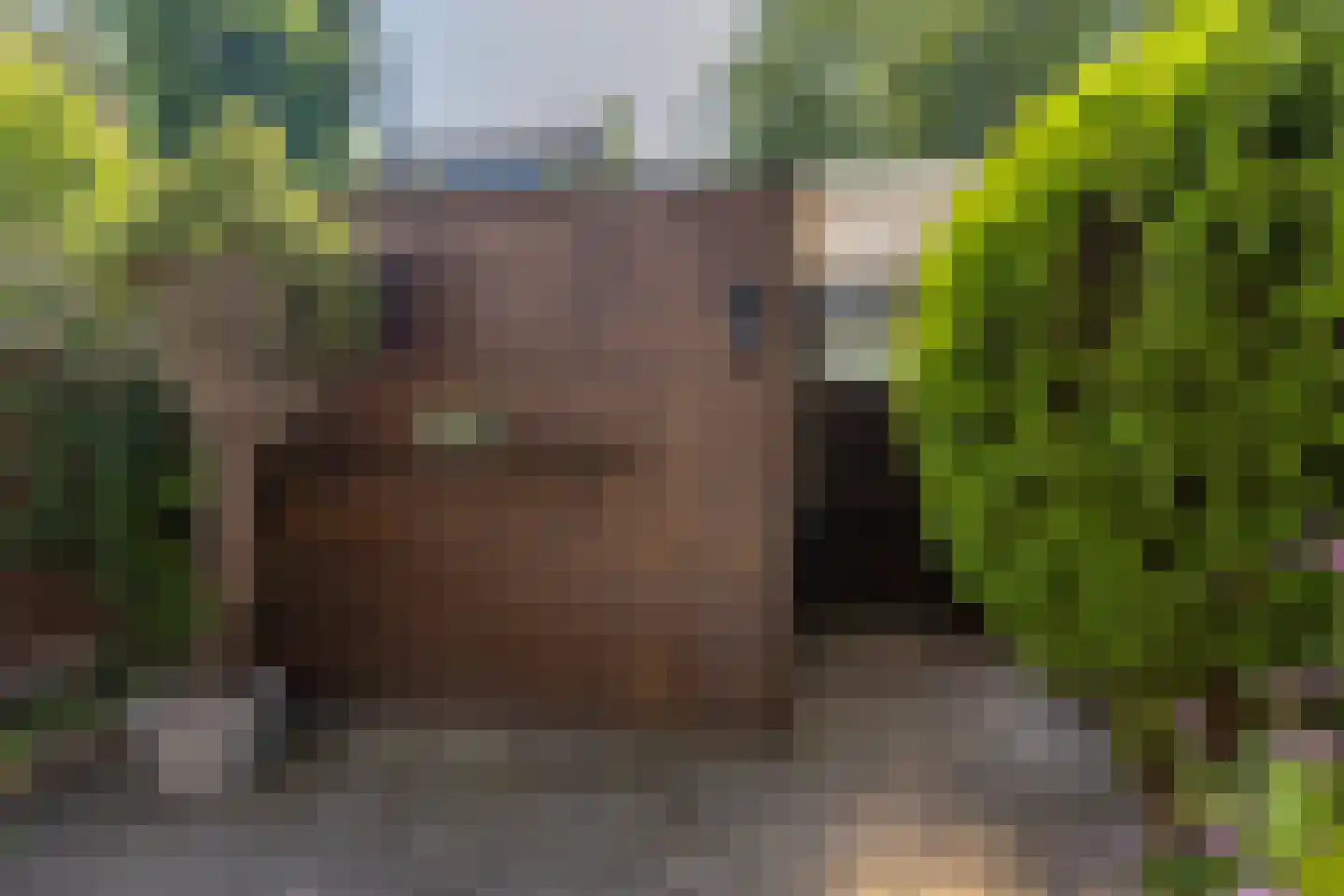 Kortestede 2 M Den Haag thumbnail 15