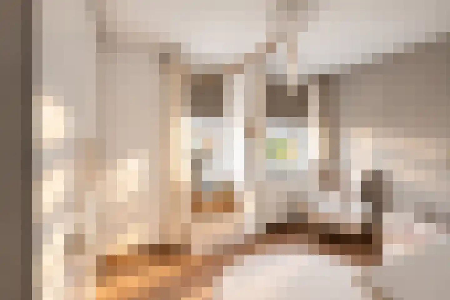 Kortestraat 1 Vlaardingen thumbnail 18