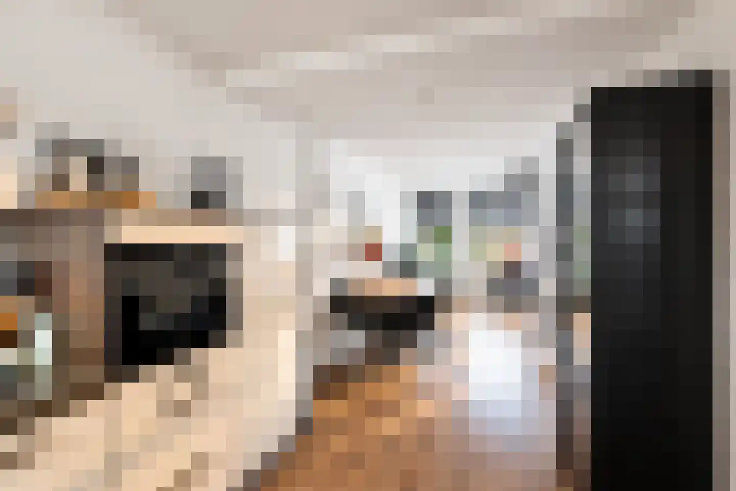 Kortestraat 1 Vlaardingen thumbnail 9