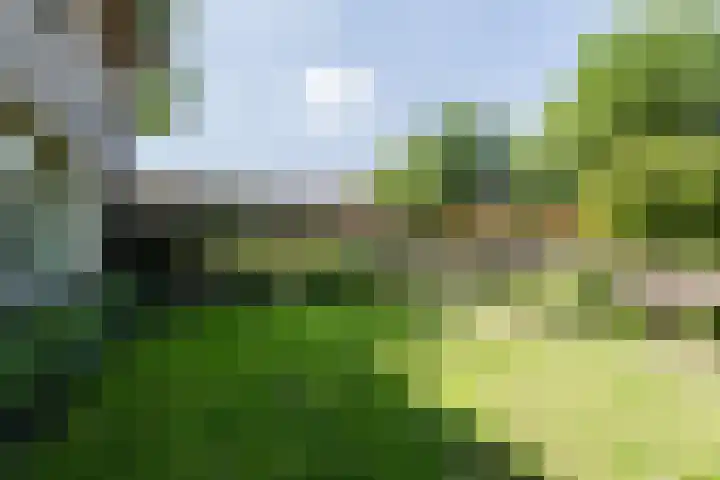Kortestraat 11 Sint-Oedenrode thumbnail 68