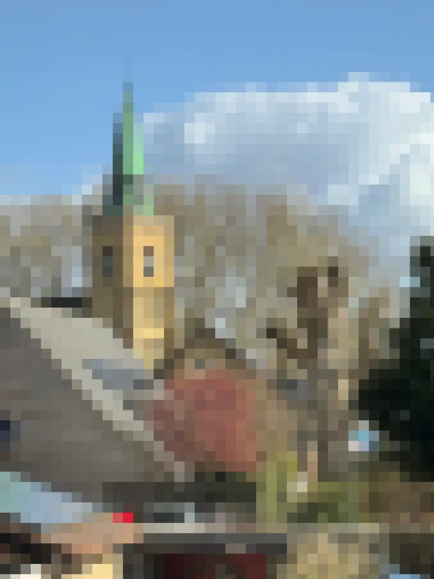 Kortestraat 12 's-Gravendeel thumbnail 15