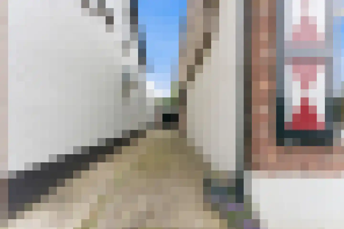 Kortestraat 12 's-Gravendeel thumbnail 27