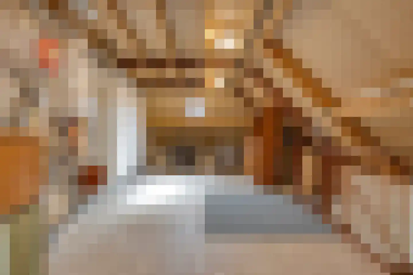 Kortestraat 17 Oldenzaal thumbnail 21