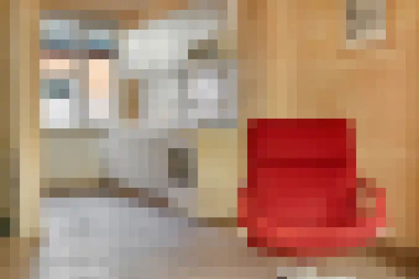 Kortestraat 17 Oldenzaal thumbnail 7