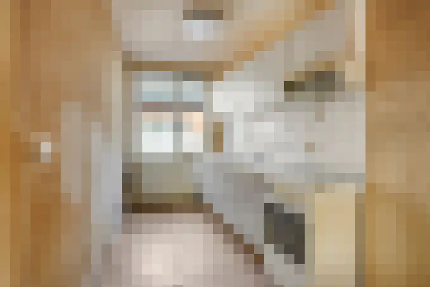 Kortestraat 17 Oldenzaal thumbnail 8