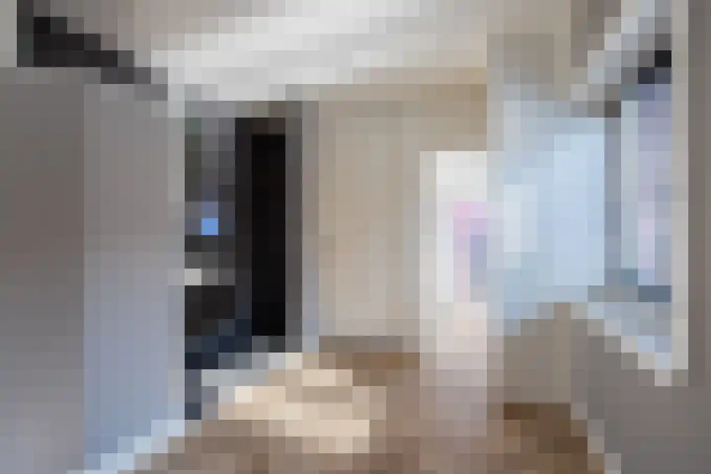 Kortestraat 2 c Oldenzaal thumbnail 14