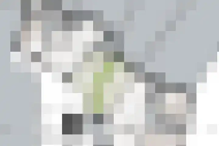 Kortestraat 2 Venray thumbnail 16
