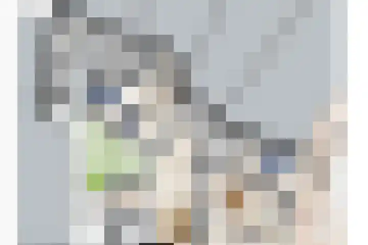 Kortestraat 2 Venray thumbnail 18