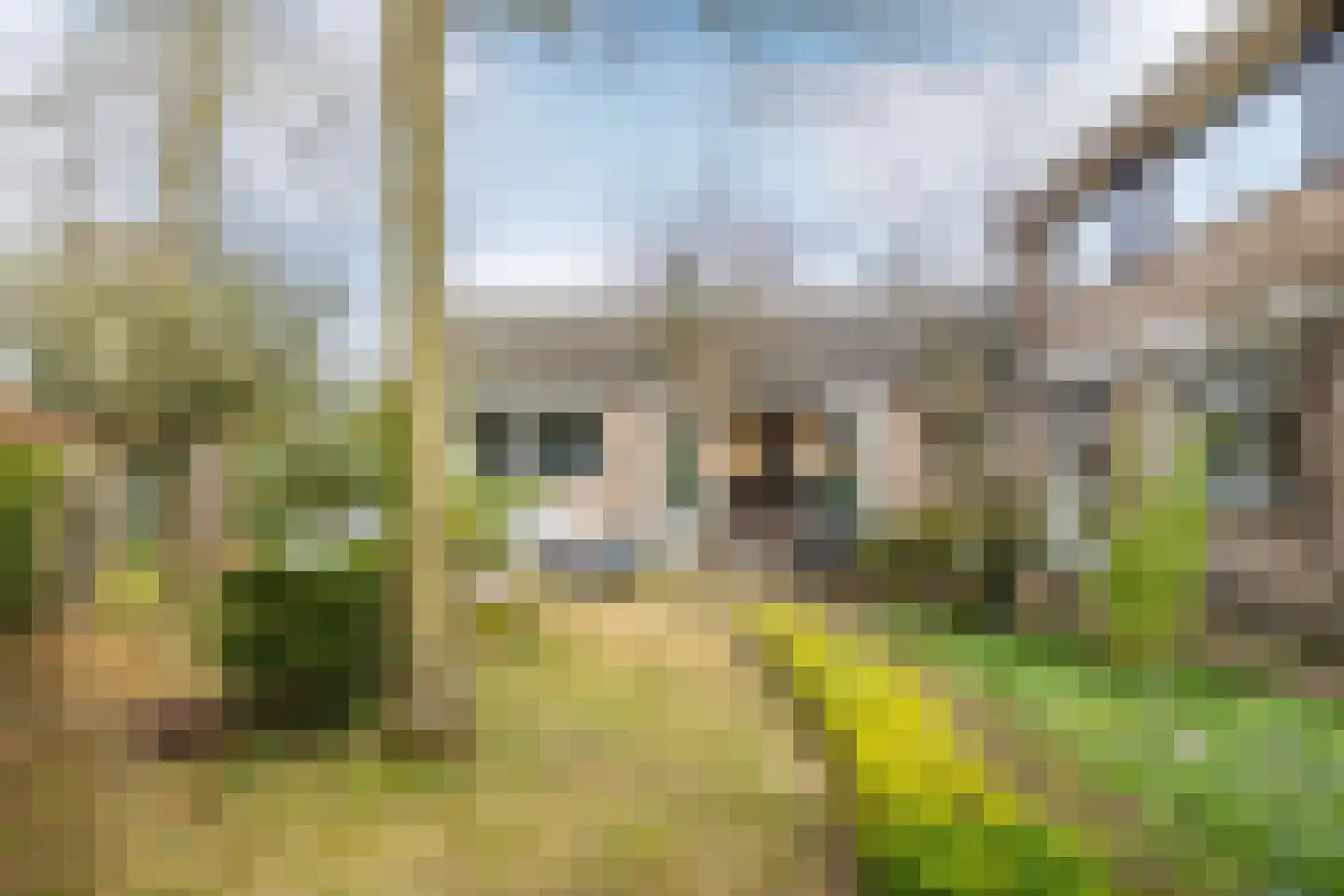 Kortestraat 20 Breda thumbnail 33